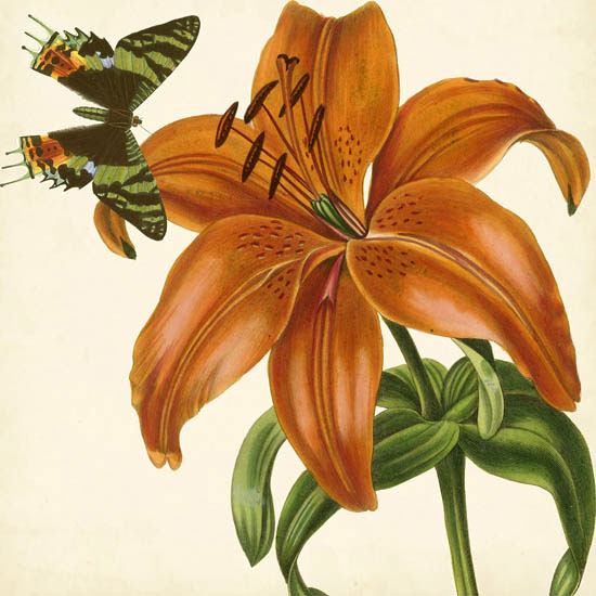 Floral for JAHRRIESNGE flowers-lpf07415 Floral JAHRRIESNGE for flowers-lpf07415