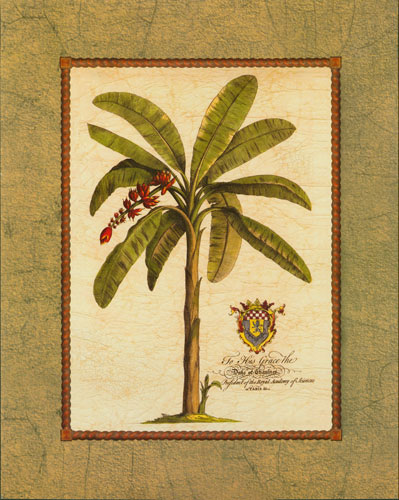 Floral for JAHRRIESNGE flowers-lpf07483 Floral JAHRRIESNGE for flowers-lpf07483