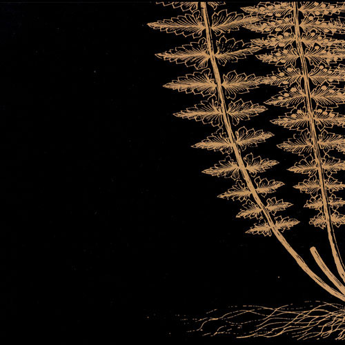 Floral for JAHRRIESNGE flowers-lpf07494 Floral JAHRRIESNGE for flowers-lpf07494