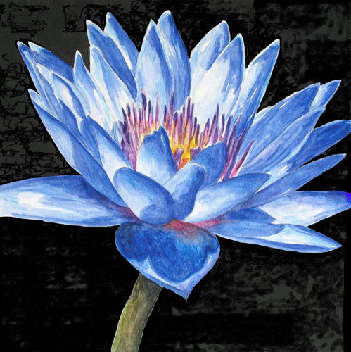 Floral for JAHRRIESNGE flowers-lpf07520 Floral JAHRRIESNGE for flowers-lpf07520