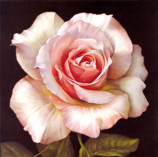 Floral for JAHRRIESNGE flowers-lpf07539 Floral JAHRRIESNGE for flowers-lpf07539