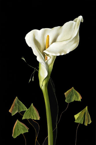 Floral for JAHRRIESNGE flowers-lpf07573 Floral JAHRRIESNGE for flowers-lpf07573