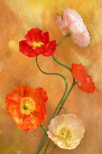 Floral for JAHRRIESNGE flowers-lpf07598 Floral JAHRRIESNGE for flowers-lpf07598