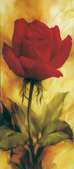 Floral JAHRRIESNGE  for flowers-lpf07680 