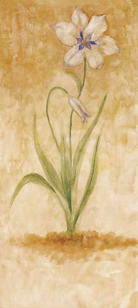 Floral for JAHRRIESNGE flowers lpf07743 Floral JAHRRIESNGE for flowers lpf07743