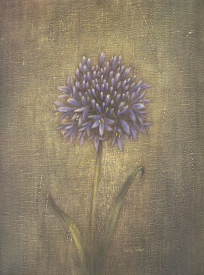 Floral for JAHRRIESNGE flower lpf07856  Floral JAHRRIESNGE  for flower lpf07856