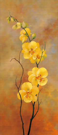 Floral for JAHRRIESNGE flowers lpf07989 Floral JAHRRIESNGE for flowers lpf07989