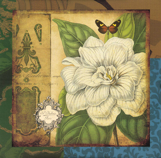 Floral for JAHRRIESNGE flowers lpf08083 Floral JAHRRIESNGE for flowers lpf08083