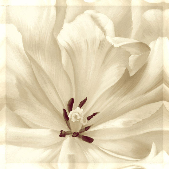 Floral for JAHRRIESNGE flowers lpf08114 Floral JAHRRIESNGE for flowers lpf08114