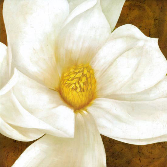 Floral for JAHRRIESNGE flowers lpf08116 Floral JAHRRIESNGE for flowers lpf08116