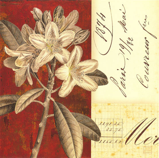 Floral for JAHRRIESNGE flowers lpf08131 Floral JAHRRIESNGE for flowers lpf08131