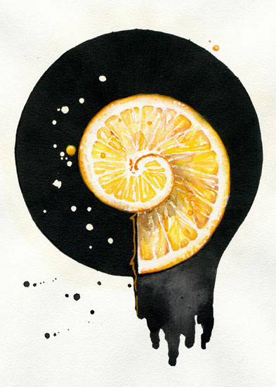 Floral for JAHRRIESNGE fruits lpf08142  Floral JAHRRIESNGE  for fruits lpf08142