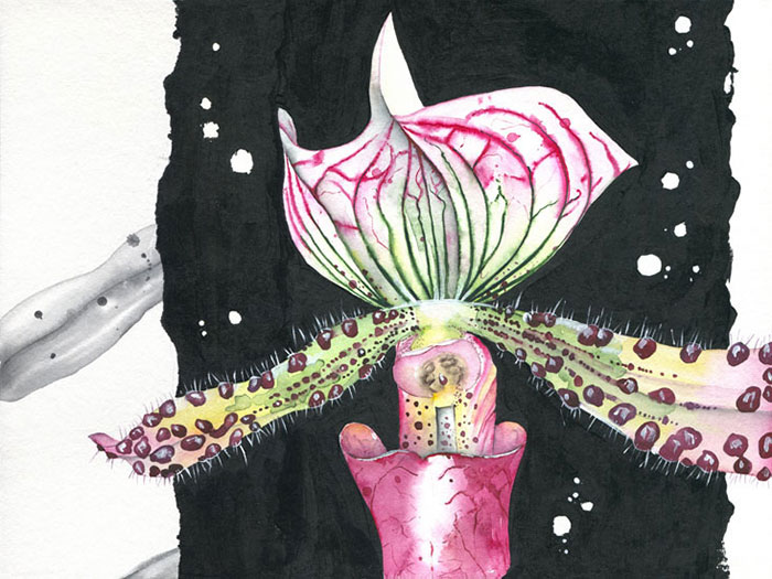 Floral for JAHRRIESNGE flowers lpf08144 Floral JAHRRIESNGE for flowers lpf08144