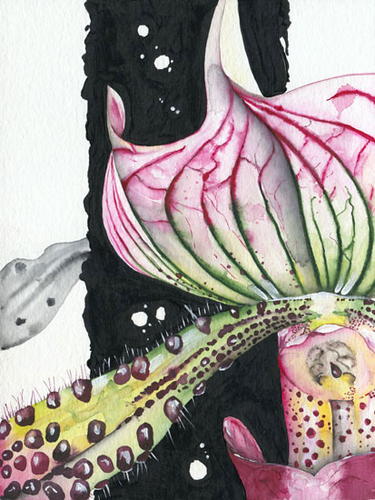 Floral for JAHRRIESNGE flowers lpf08148 Floral JAHRRIESNGE for flowers lpf08148