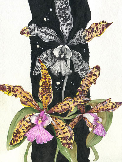 Floral for JAHRRIESNGE flowers lpf08149 Floral JAHRRIESNGE for flowers lpf08149