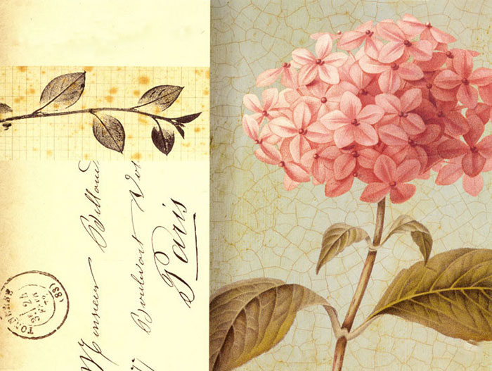 Floral for JAHRRIESNGE flowers lpf08171 Floral JAHRRIESNGE for flowers lpf08171