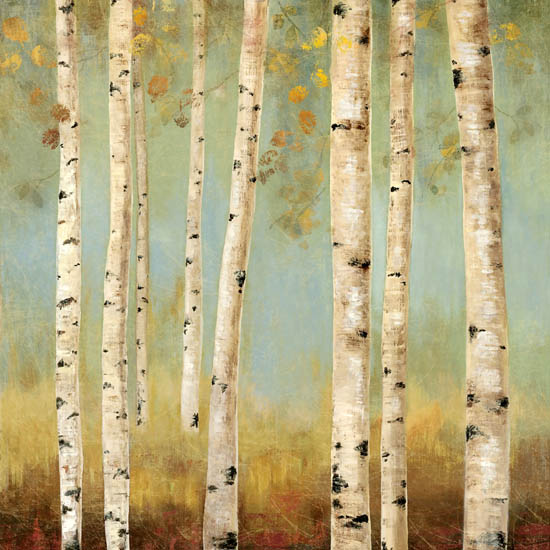 Landscape for Jahrriesnge trees lpf08330 Landscape Jahrriesnge for trees lpf08330