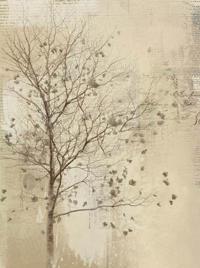 Landscape for JAHRRIESNGE trees lpf08369  Landscape JAHRRIESNGE  for trees lpf08369