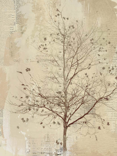 Landscape for JAHRRIESNGE trees lpf08370 Landscape JAHRRIESNGE for trees lpf08370