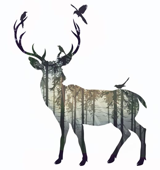 Animals for Jahrriesnge deer lpf08601  Animals Jahrriesnge  for deer lpf08601