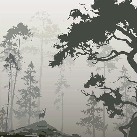 Animals for Jahrriesnge deer lpf08609  Animals Jahrriesnge  for deer lpf08609