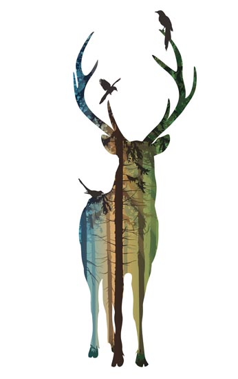 Animals for Jahrriesnge deer lpf08618  Animals Jahrriesnge  for deer lpf08618