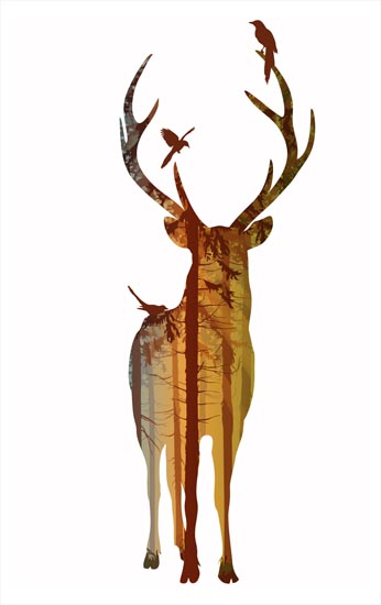 Animals for Jahrriesnge deer lpf08620  Animals Jahrriesnge  for deer lpf08620