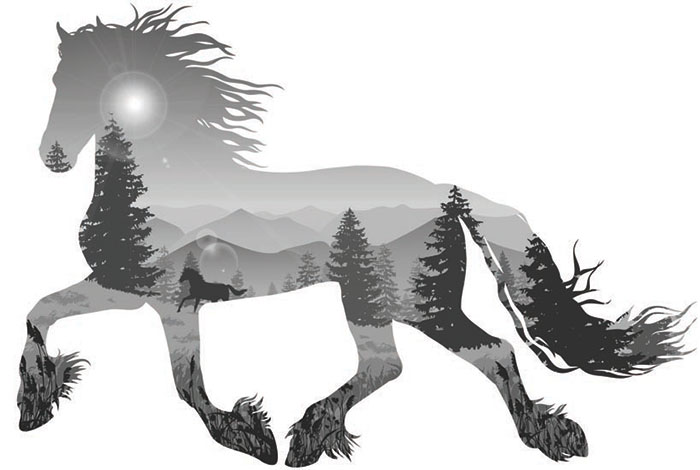 Animals for Jahrriesnge horse lpf08622  Animals Jahrriesnge  for horse lpf08622