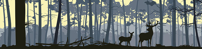 Animals for Jahrriesnge deer lpf08624  Animals Jahrriesnge  for deer lpf08624