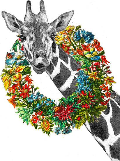 Animals for Jahrriesnge giraffe lpf08636  Animals Jahrriesnge  for giraffe lpf08636