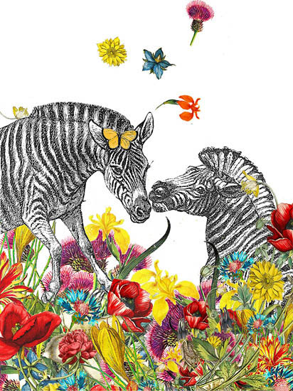 Animals for Jahrriesnge zebra lpf08637  Animals Jahrriesnge  for zebra lpf08637