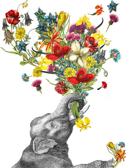 Animals for Jahrriesnge elephant lpf08638  Animals Jahrriesnge  for elephant lpf08638