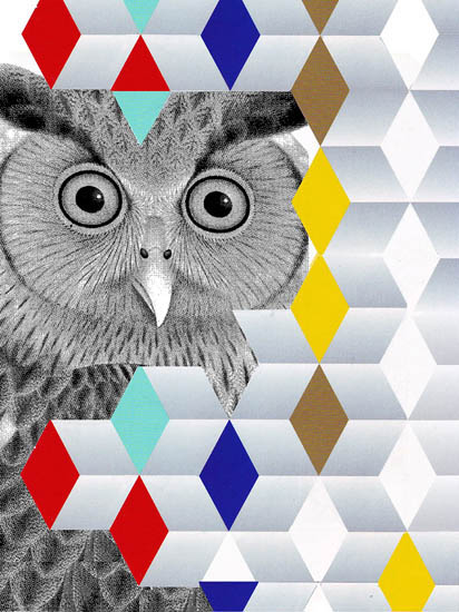 Animals for Jahrriesnge owl lpf08644  Animals Jahrriesnge  for owl lpf08644