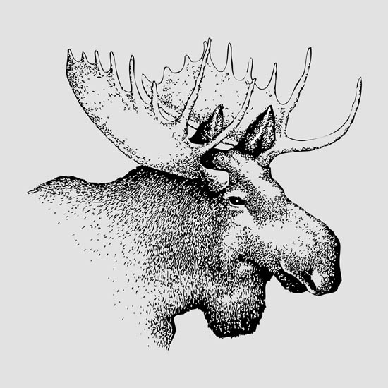 Animals for Jahrriesnge deer lpf08653  Animals Jahrriesnge  for deer lpf08653