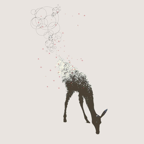 Animals for Jahrriesnge deer lpf08657  Animals Jahrriesnge  for deer lpf08657