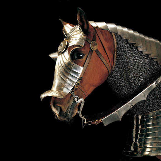 Animals for Jahrriesnge horse lpf08672  Animals Jahrriesnge  for horse lpf08672