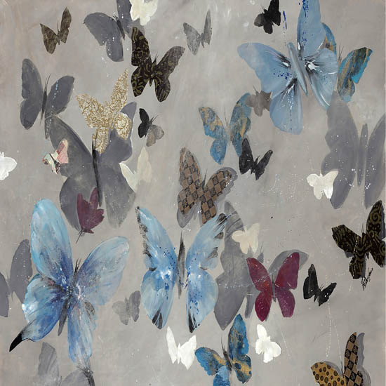 Animals for Jahrriesnge butterfly lpf08682  Animals Jahrriesnge  for butterfly lpf08682