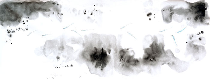 Landscape for Jahrriesnge fishes lpf09416  Landscape Jahrriesnge  for fishes lpf09416