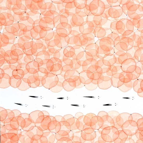 Landscape for JAHRRIESNGE fishes lpf09463  Landscape JAHRRIESNGE  for fishes lpf09463