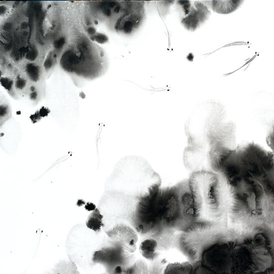 Landscape for JAHRRIESNGE fish lpf09489  Landscape JAHRRIESNGE  for fish lpf09489