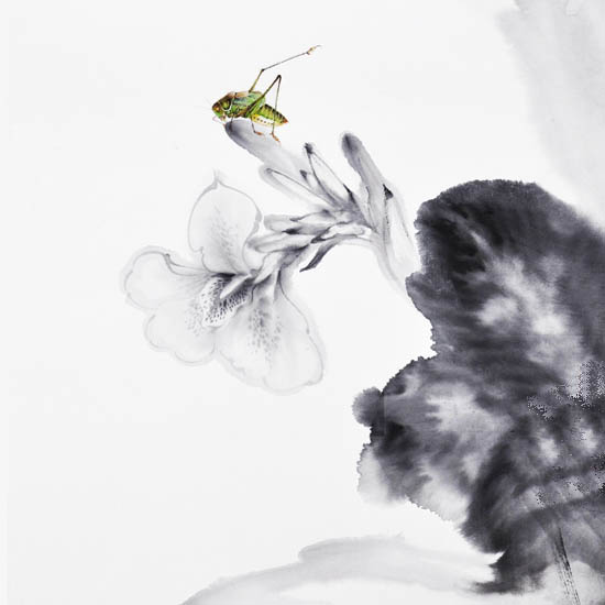 Landscape for JAHRRIESNGE Katydids lpf09503  Landscape JAHRRIESNGE  for Katydids lpf09503