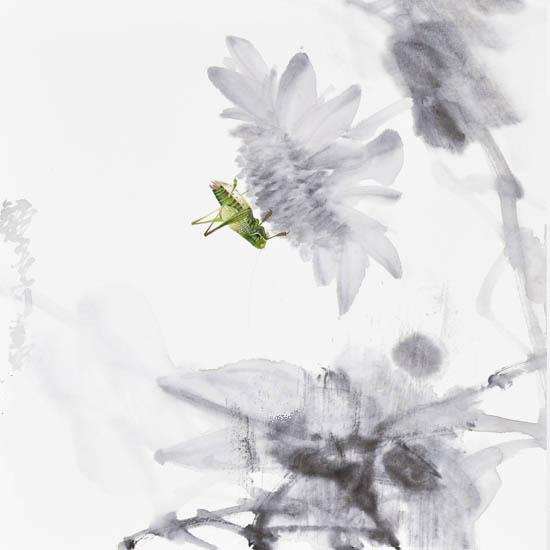 Landscape for JAHRRIESNGE Katydids lpf09505  Landscape JAHRRIESNGE  for Katydids lpf09505