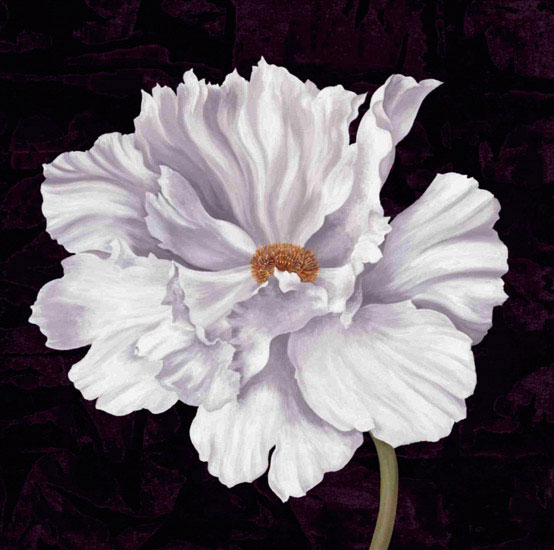 Floral for JAHRRIESNGE flowers lpf09592 Floral JAHRRIESNGE for flowers lpf09592