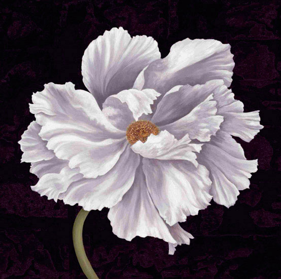 Floral for JAHRRIESNGE flowers lpf09593 Floral JAHRRIESNGE for flowers lpf09593