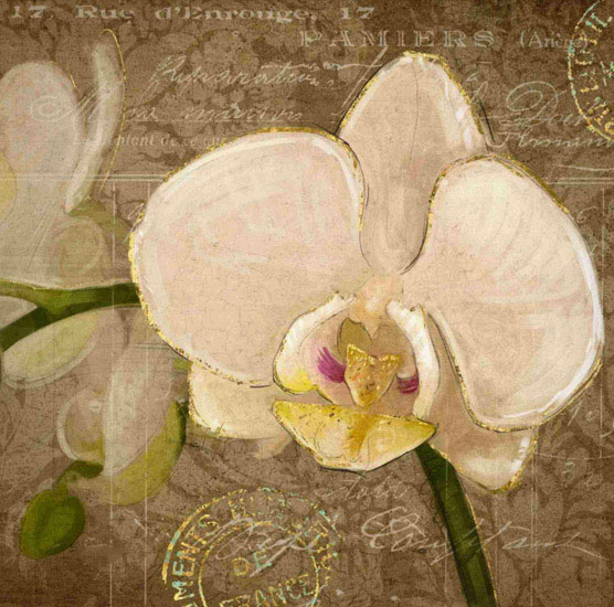 Floral for JAHRRIESNGE flowers lpf09595 Floral JAHRRIESNGE for flowers lpf09595