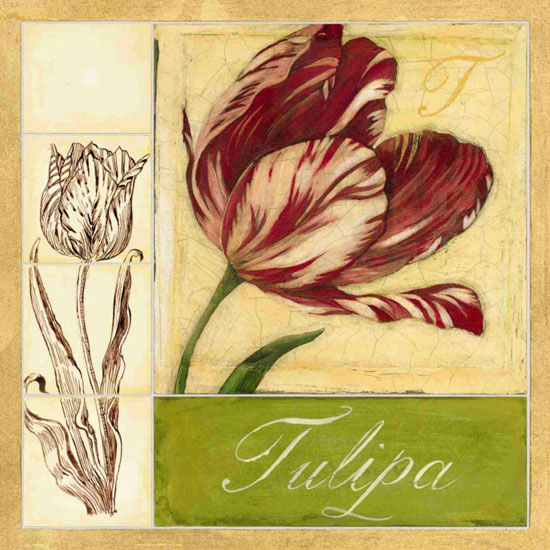 Floral for JAHRRIESNGE flowers lpf09620 Floral JAHRRIESNGE for flowers lpf09620