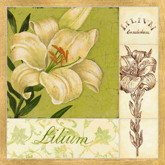 Floral for JAHRRIESNGE flowers lpf09621 Floral JAHRRIESNGE for flowers lpf09621