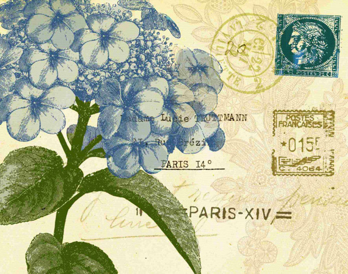 Floral for JAHRRIESNGE flowers lpf09627 Floral JAHRRIESNGE for flowers lpf09627