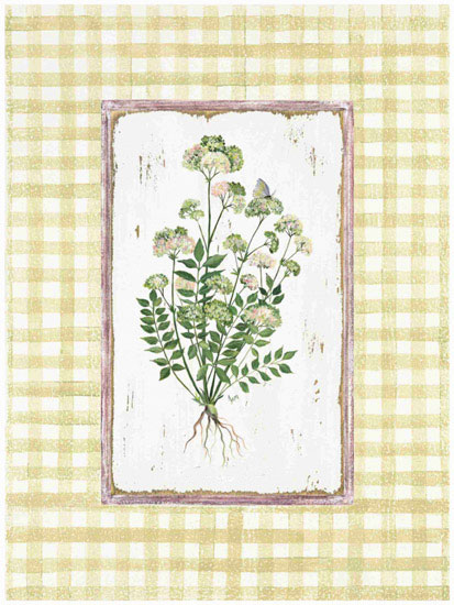 Floral for JAHRRIESNGE flowers lpf09675 Floral JAHRRIESNGE for flowers lpf09675