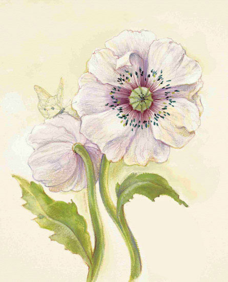 Floral for JAHRRIESNGE flowers lpf09686 Floral JAHRRIESNGE for flowers lpf09686